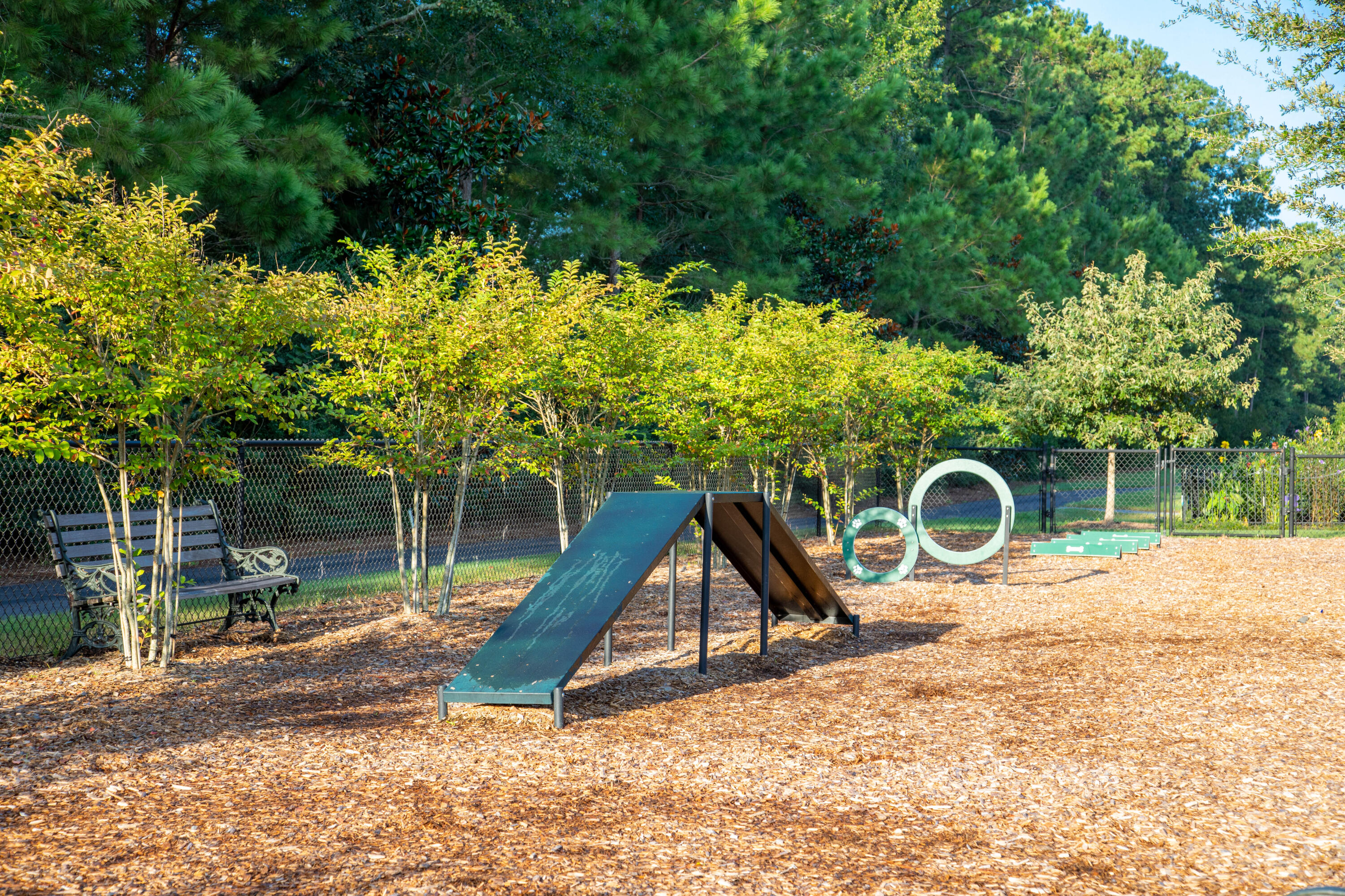 295 Denham Street Summerville, SC 29486 - Photo 37 of 38 CARNES DOG PARK
