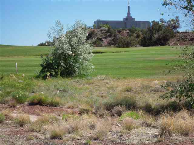 Lot 10 Frontier Estate Snowflake, AZ 85937 - Photo 1 of 3