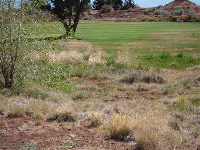 Lot 10 Frontier Estate Snowflake, AZ 85937 - Photo 2 of 3