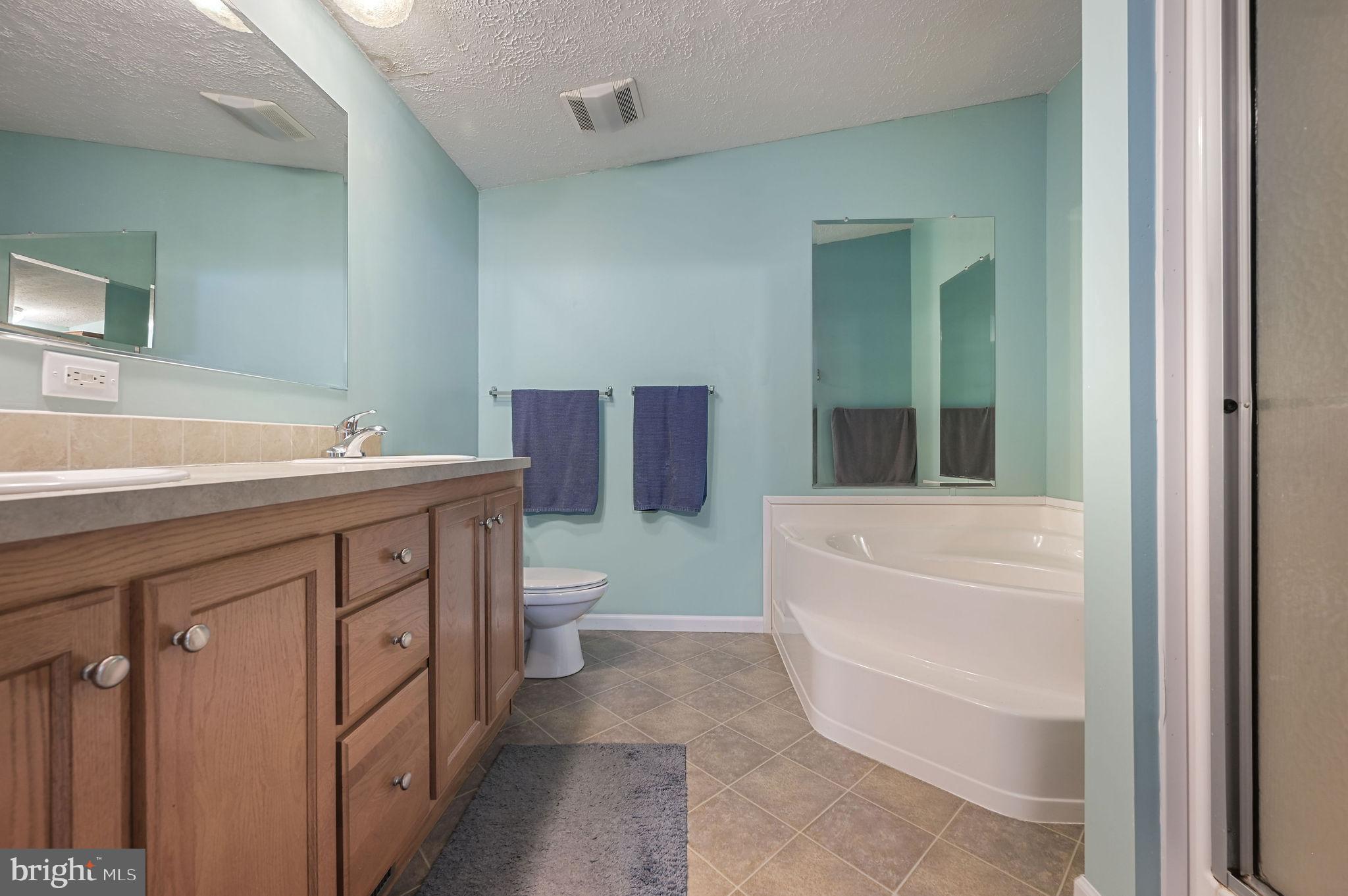 3992 Midstate Road Felton, DE 19943 - Photo 16 of 21 a bathroom with a sink a toilet and bathtub