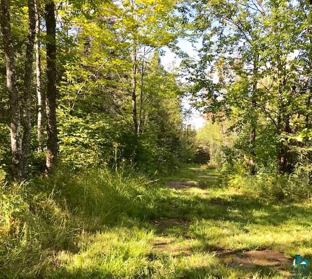 1159 Wales Road Two Harbors, MN 55616 - Photo 28 of 50 Gallery Image 28