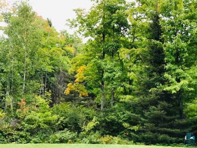 1159 Wales Road Two Harbors, MN 55616 - Photo 39 of 50 Gallery Image 39