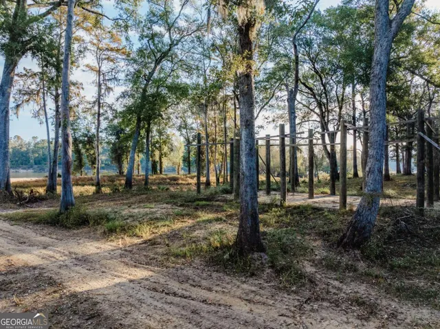 a view of a park with trees