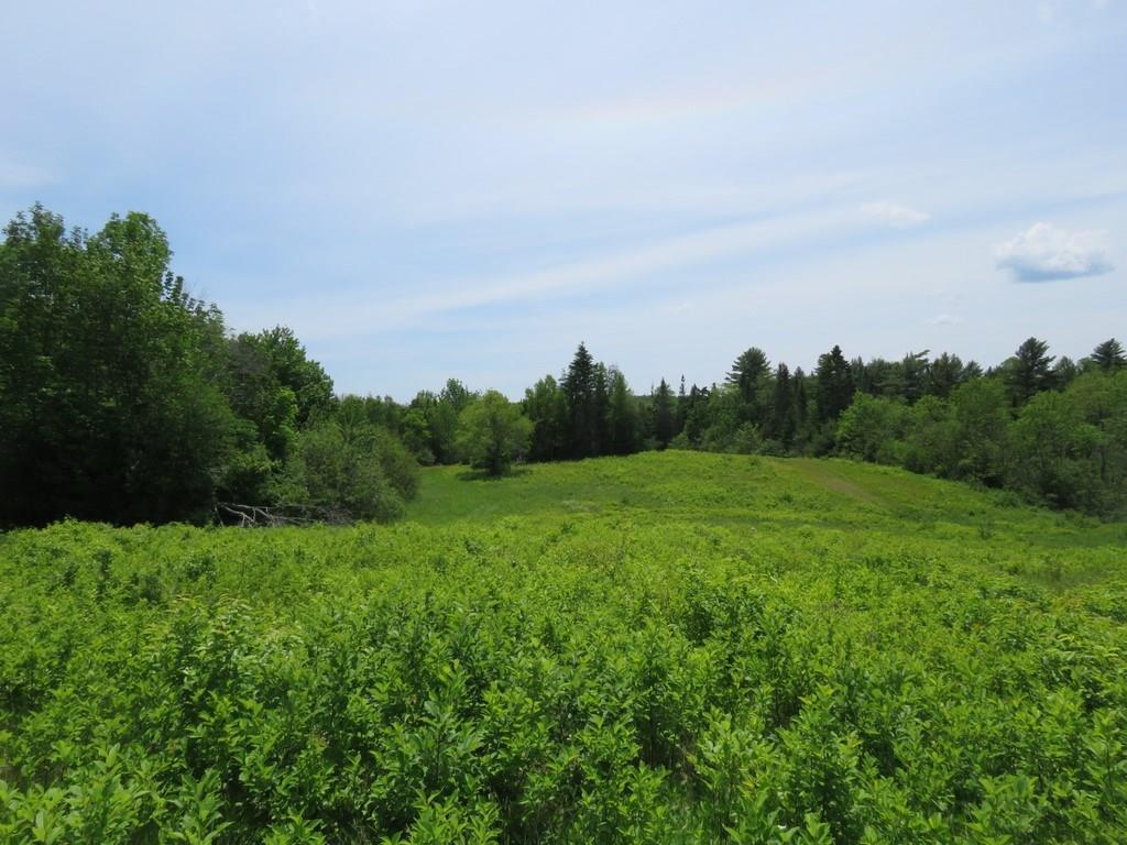87 Jacob Buck Pond Road Bucksport, ME 04416 - Photo 7 of 16 From the top of the knoll, looking...