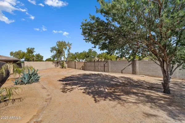 a street view along with trees