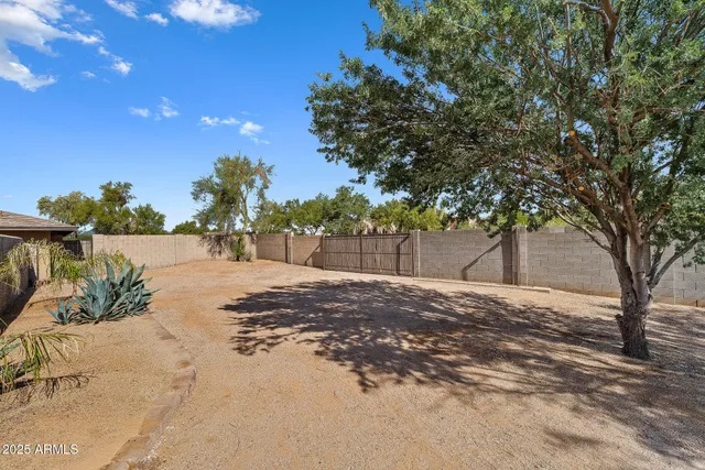 a street view along with trees