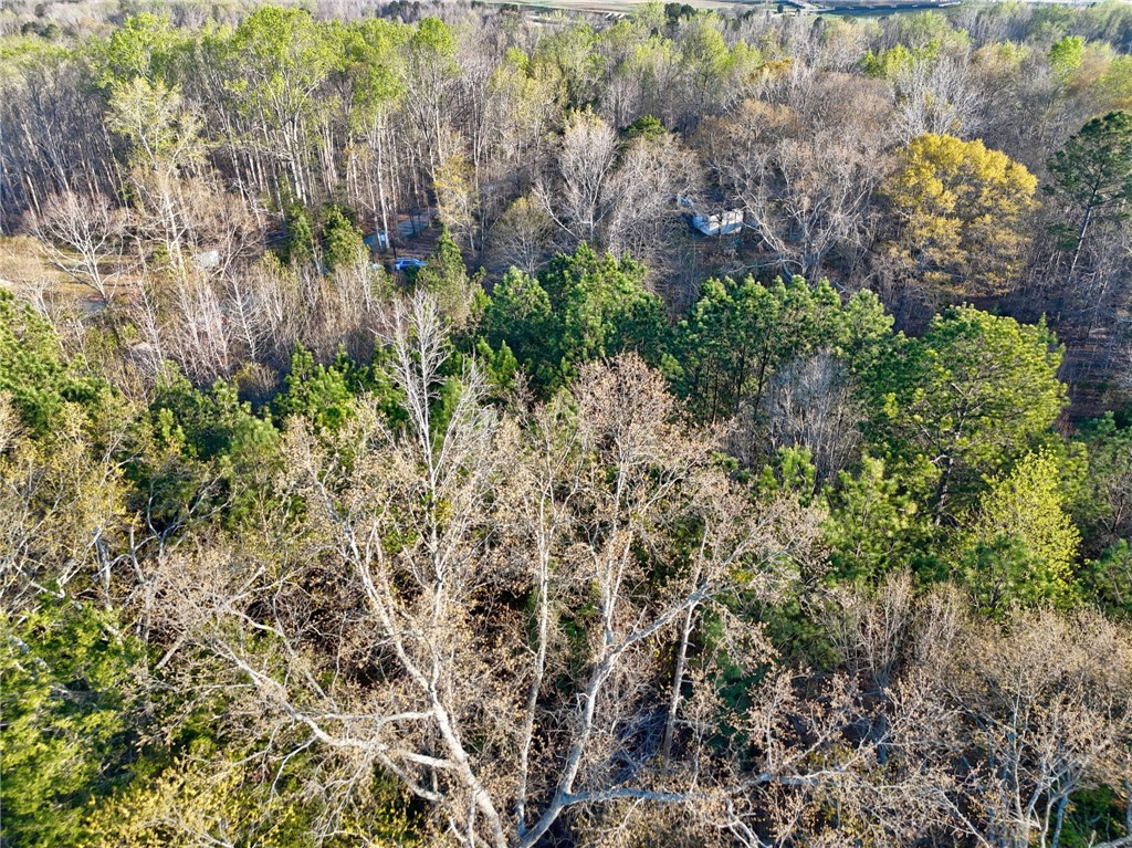 426 Cleveland Road Anderson, SC 29626 - Photo 4 of 10 An aerial view showcases a vibrant forest with a mix of deciduous and evergreen trees.