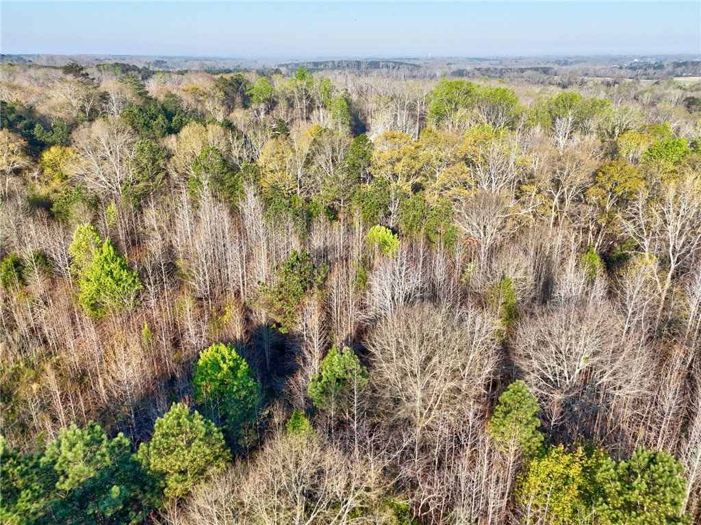 426 Cleveland Road Anderson, SC 29626 - Photo 6 of 10 Vast woodland scenery with a harmonious blend of green and bare trees under a clear sky.