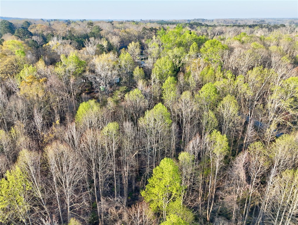 426 Cleveland Road Anderson, SC 29626 - Photo 7 of 10 This verdant expanse offers a serene, wooded setting for your future home.