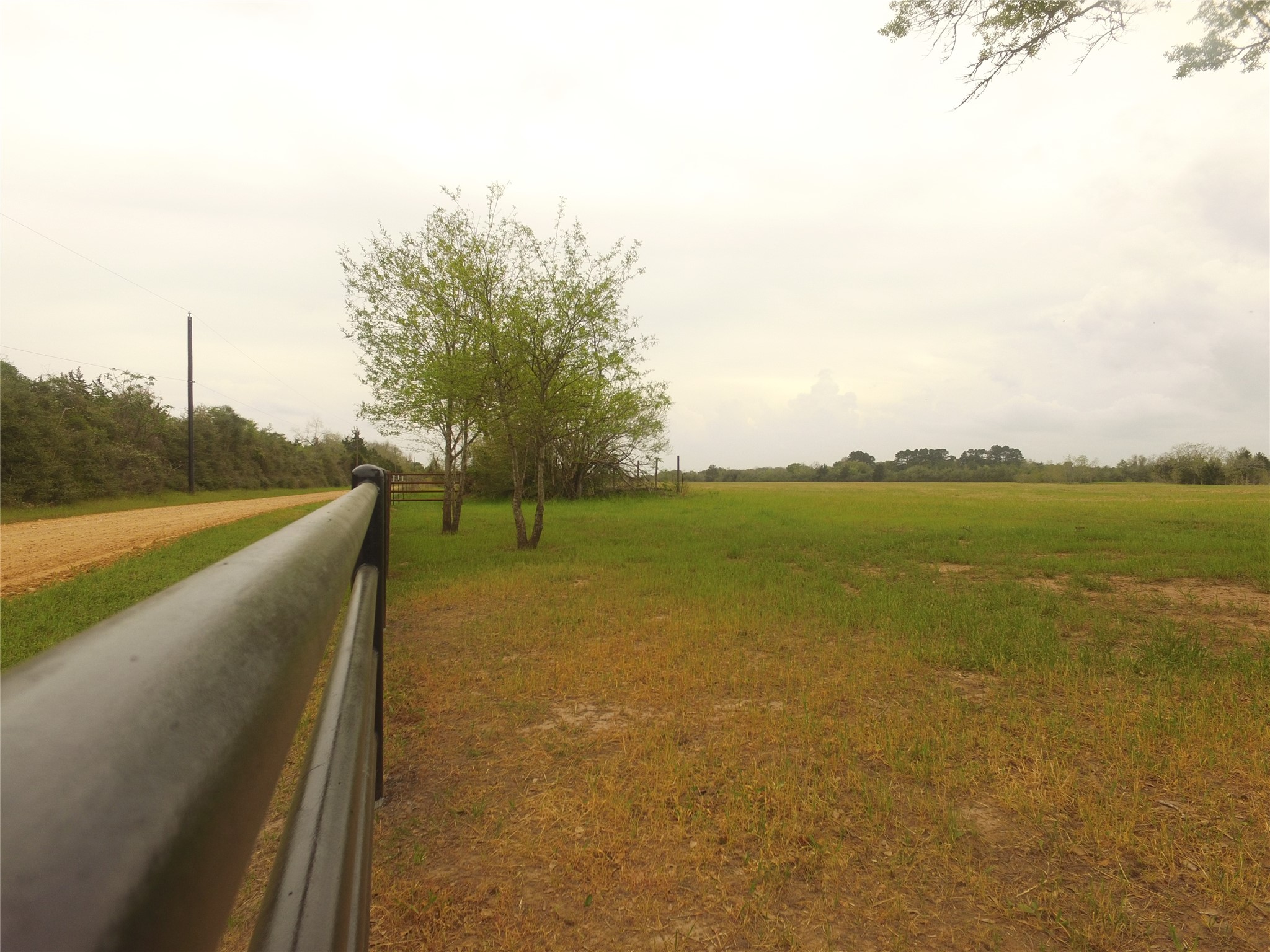 Tbd Kloss Road Sealy, TX 77474 - Photo 13 of 16