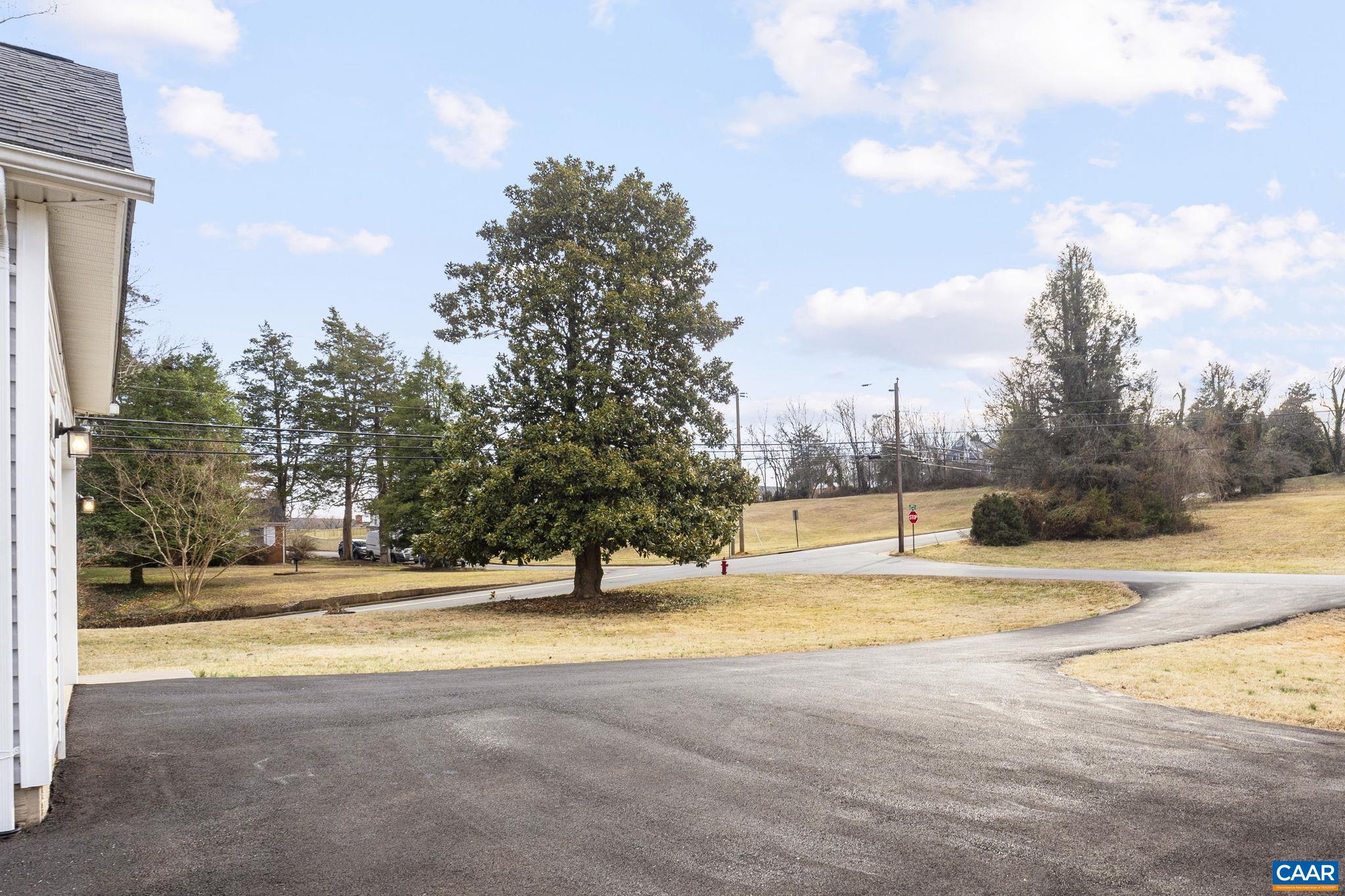 133 Red Hill Road Orange, VA 22960 - Photo 9 of 38 a view of yard with swimming pool and trees