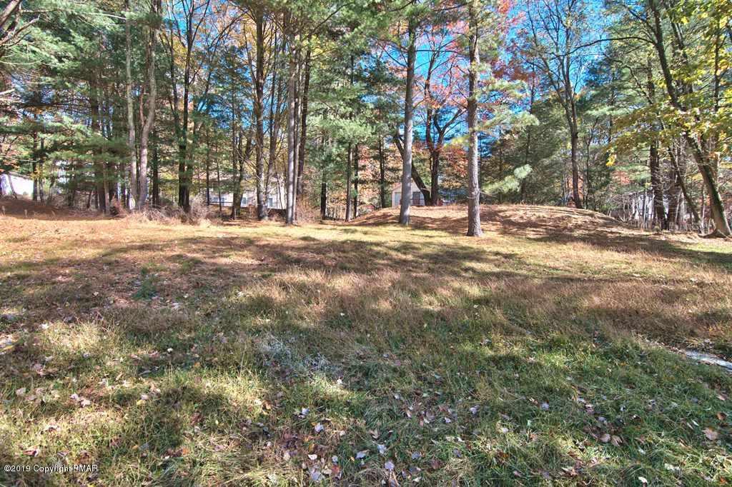 184 Alpine Lake Road Henryville, PA 18332 - Photo 43 of 55 Photo 39