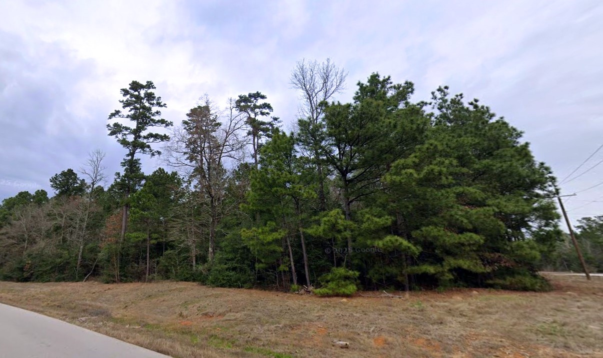 5-6-228 Dipping Vat Road Huntsville, TX 77340 - Photo 8 of 25