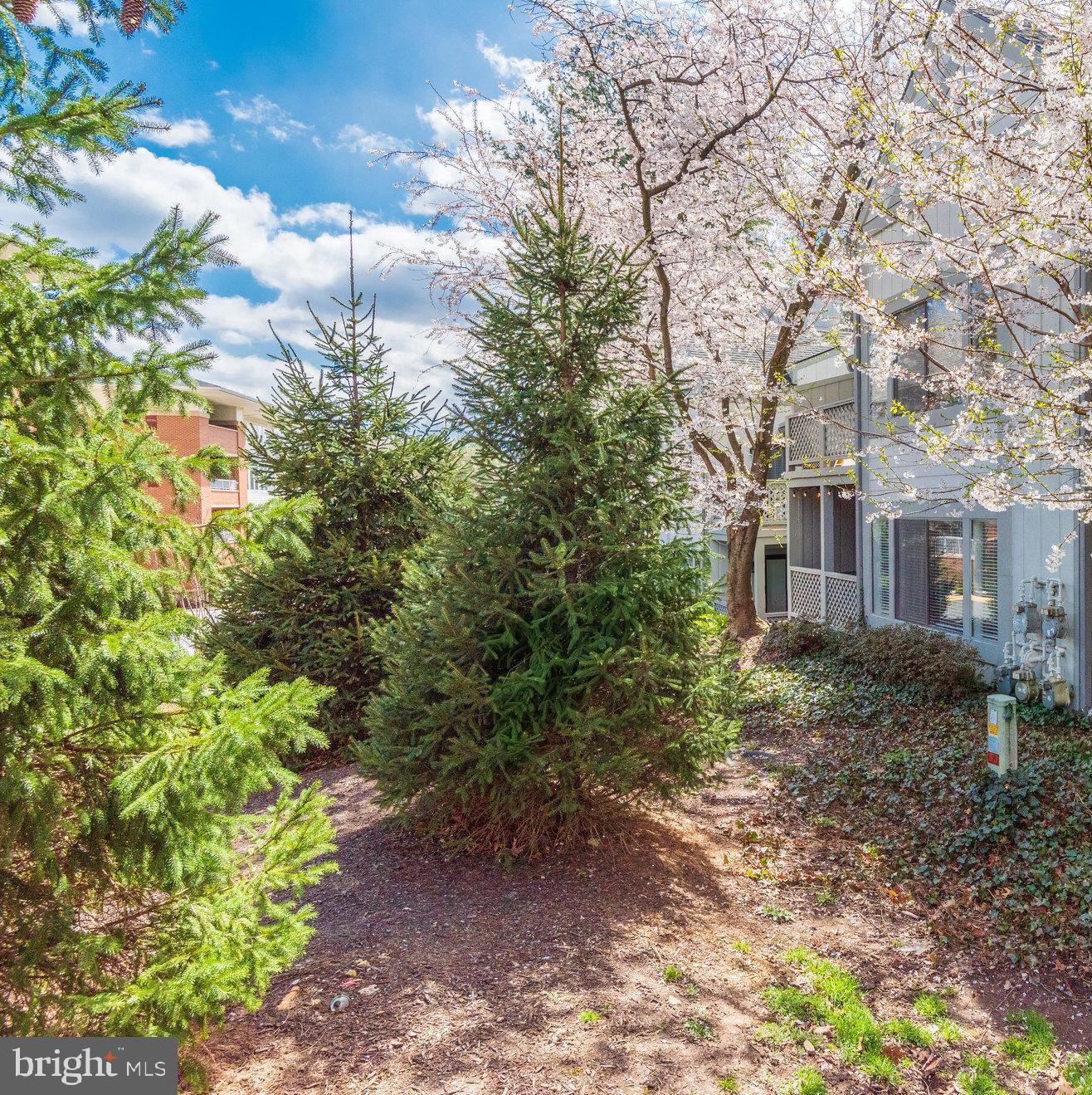 2221 Hunter's Run Drive, Unit 2221 Reston, VA 20191 - Photo 33 of 42 Gallery Image 33