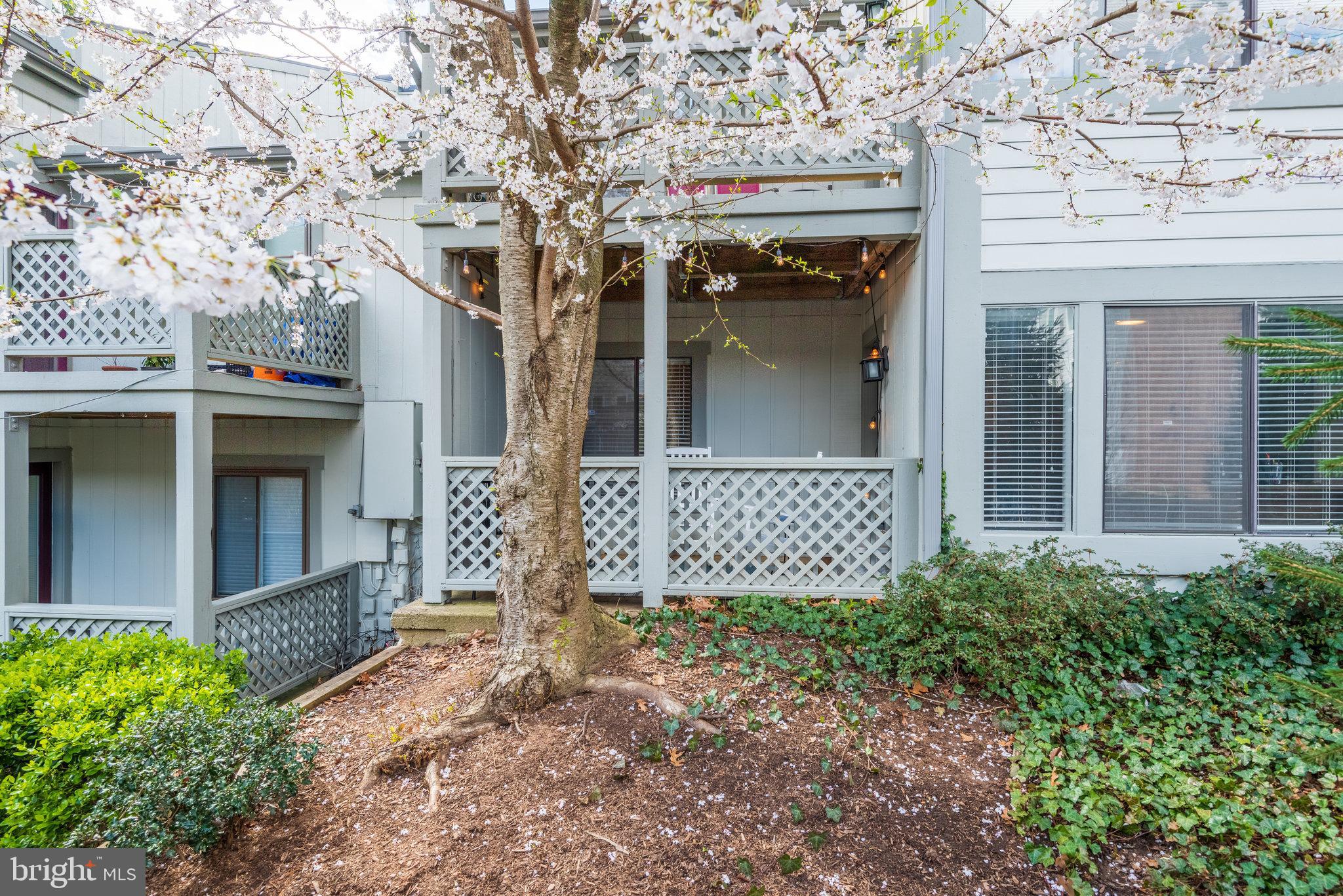 2221 Hunter's Run Drive, Unit 2221 Reston, VA 20191 - Photo 34 of 42 Gallery Image 34