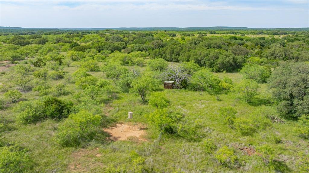 136 Moose Trail Ranger, TX 76470 - Photo 21 of 40 a view of a field of grass with large tree