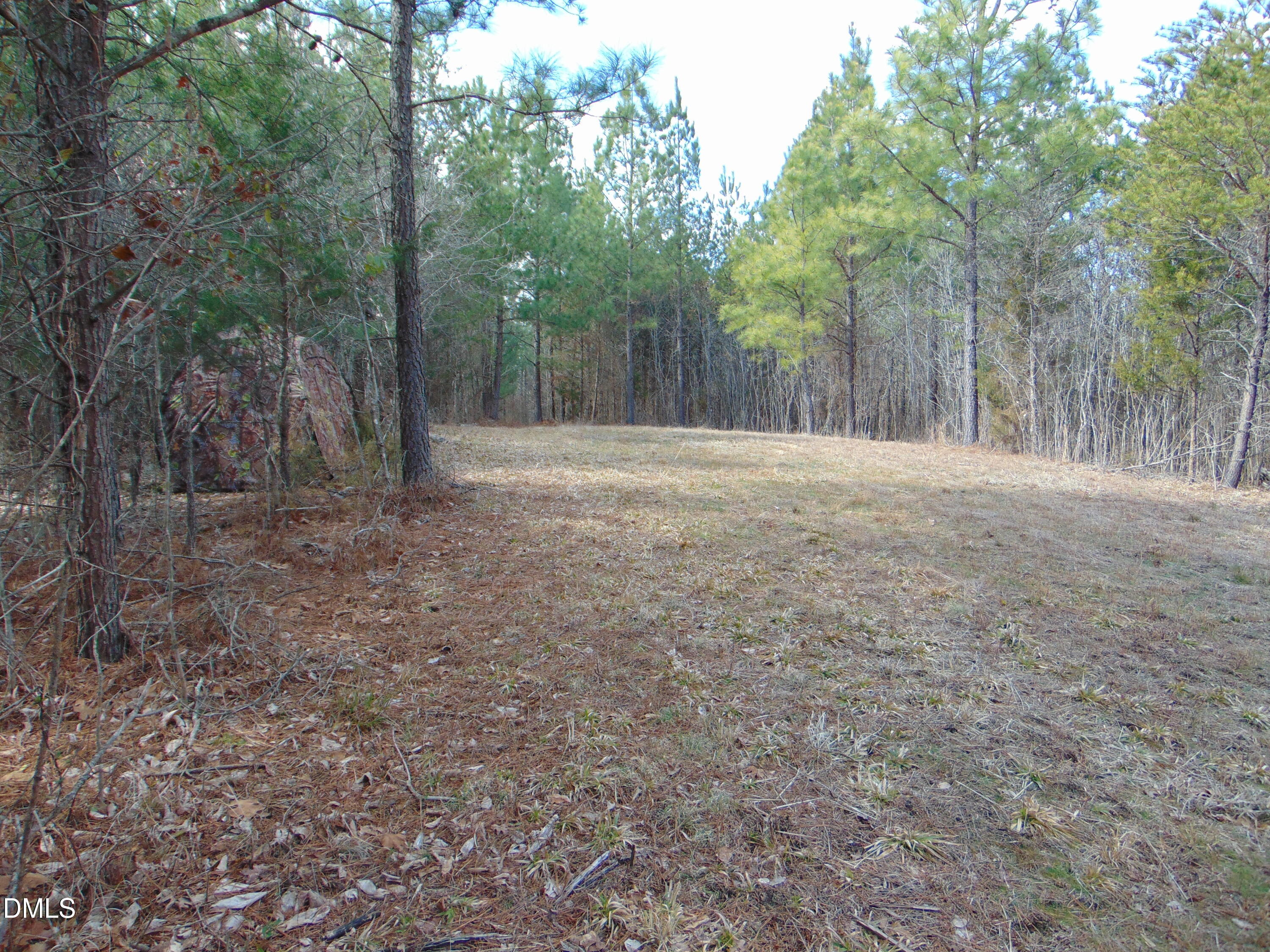 0 Park Springs Road Providence, NC 27315 - Photo 42 of 46 DSC01391