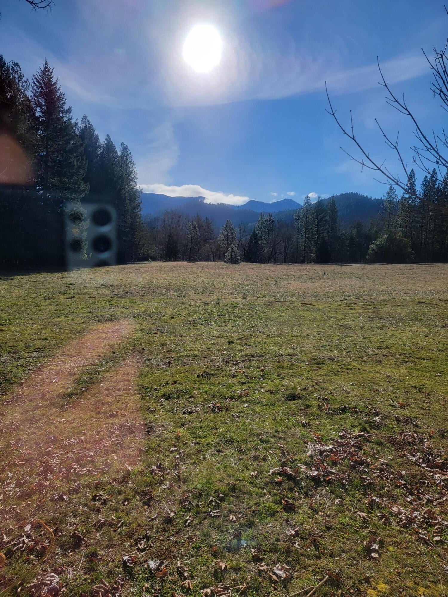 4154 Deer Creek Road Selma, OR 97538 - Photo 14 of 45 View from living room window