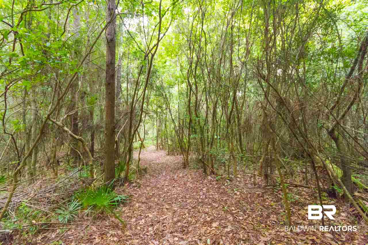 11501 Patterson Lane Elberta, AL 36530 - Photo 36 of 49