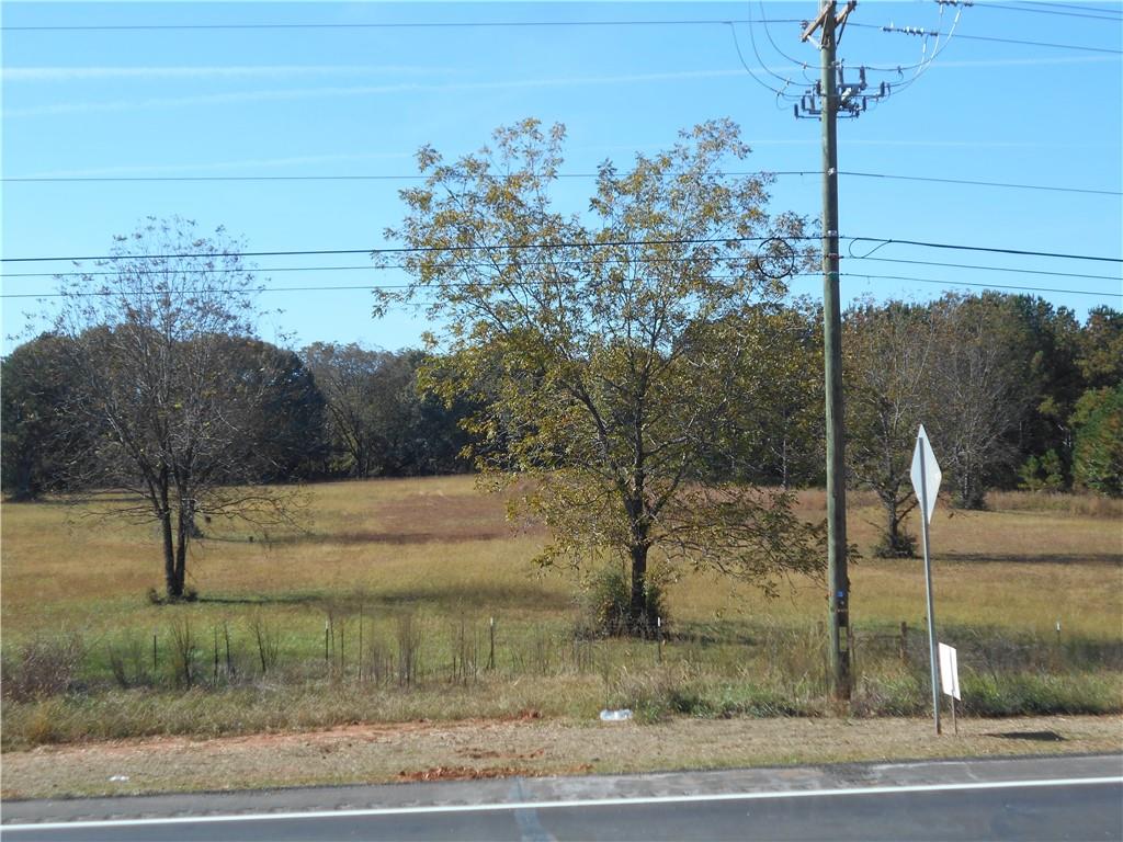 1230 Good Hope Road Monroe, GA 30655 - Photo 32 of 76 a view of a yard