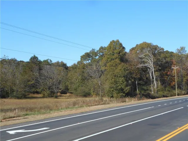 a view of backyard with trees