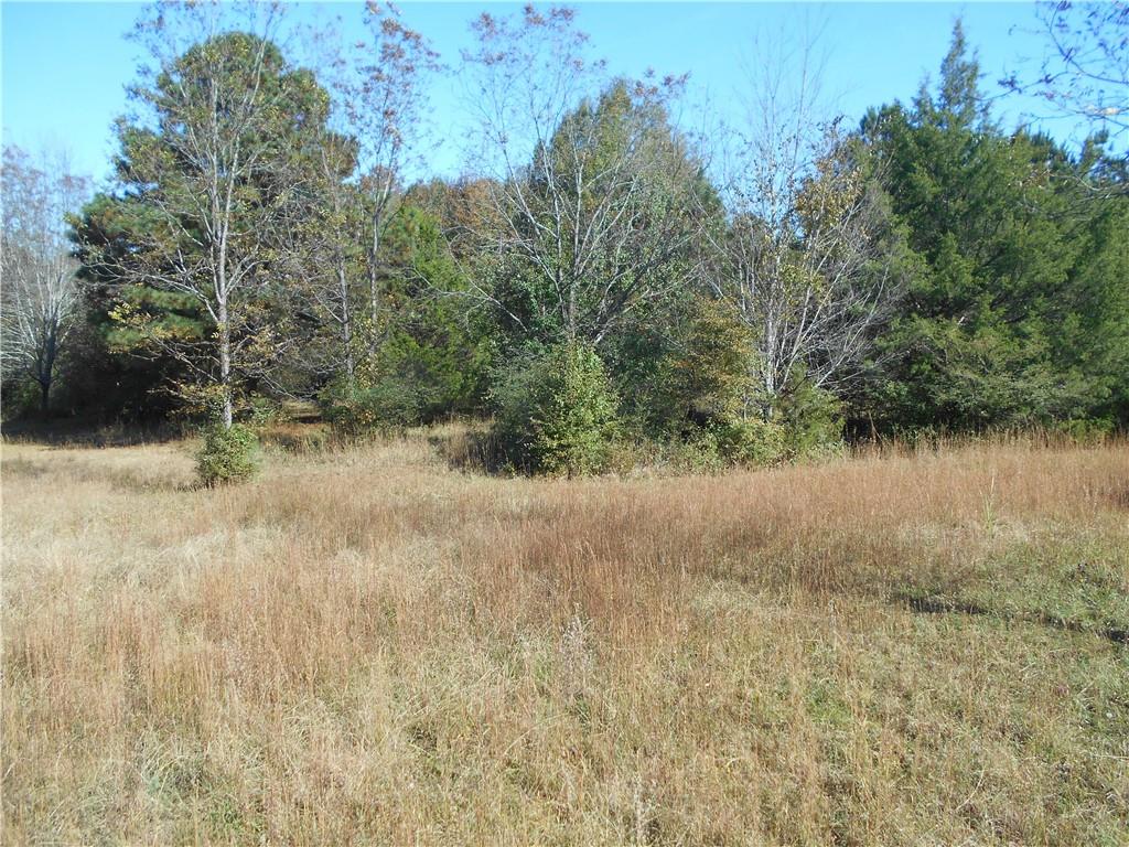 1230 Good Hope Road Monroe, GA 30655 - Photo 45 of 76 a view of a yard covered with trees