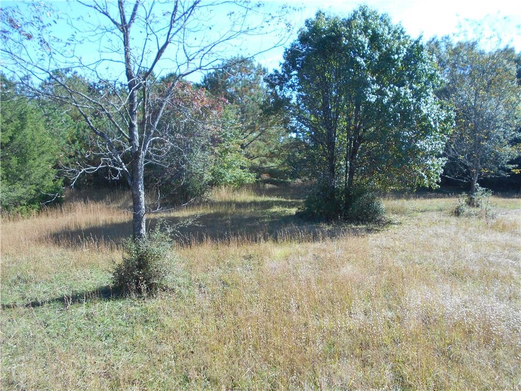 1230 Good Hope Road Monroe, GA 30655 - Photo 46 of 76 a view of lake with a tree