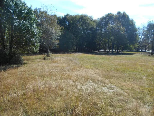 a view of a field with trees in background