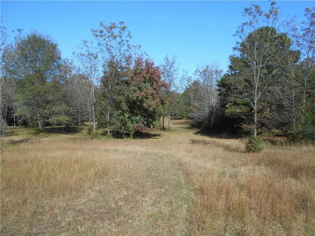 a view of a field with trees in the background