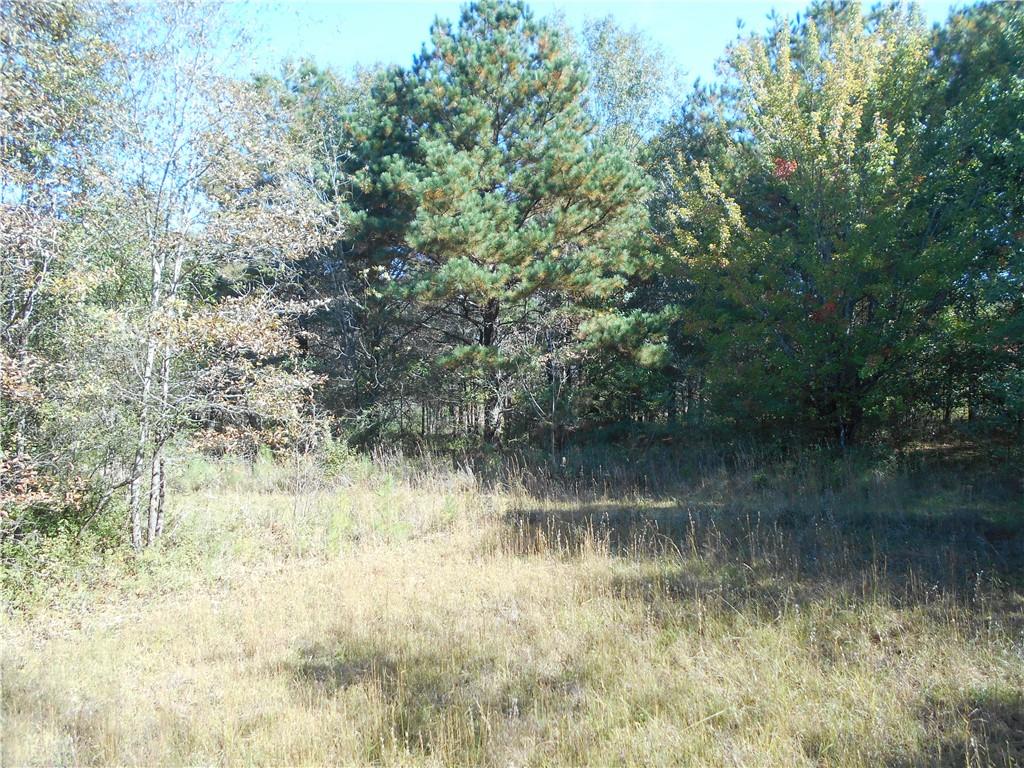 1230 Good Hope Road Monroe, GA 30655 - Photo 49 of 76
