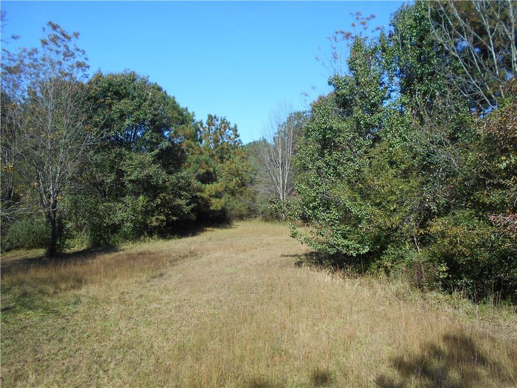 1230 Good Hope Road Monroe, GA 30655 - Photo 51 of 76 a view of a field with trees in the background
