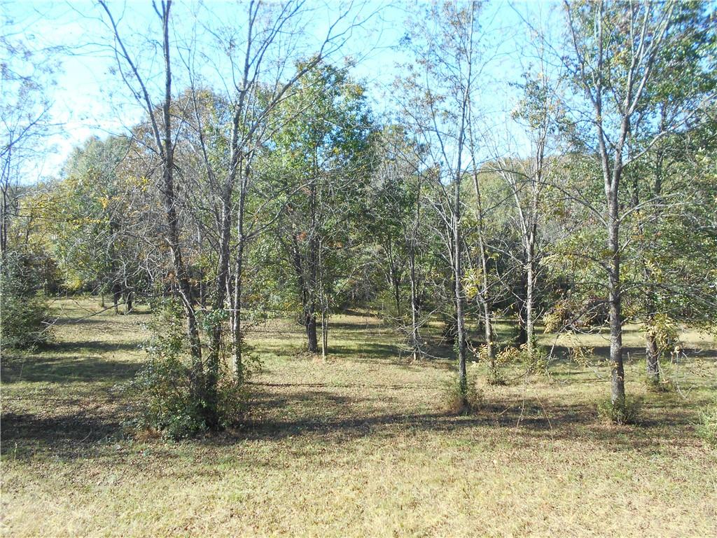 1230 Good Hope Road Monroe, GA 30655 - Photo 52 of 76 a view of a yard with a tree