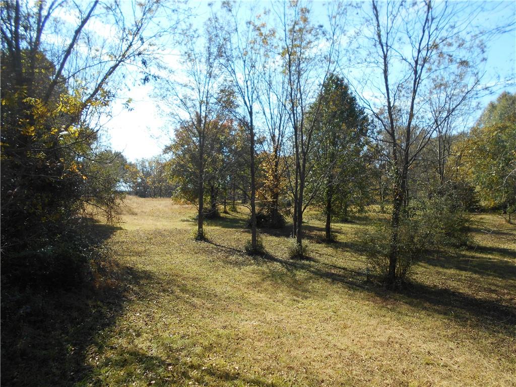 1230 Good Hope Road Monroe, GA 30655 - Photo 53 of 76 a view of backyard with trees