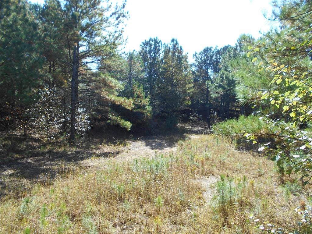 1230 Good Hope Road Monroe, GA 30655 - Photo 54 of 76