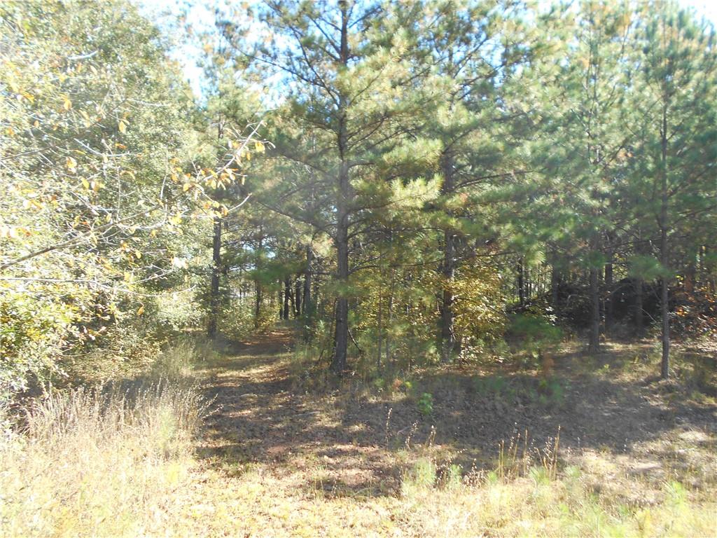 1230 Good Hope Road Monroe, GA 30655 - Photo 55 of 76 a view of a yard