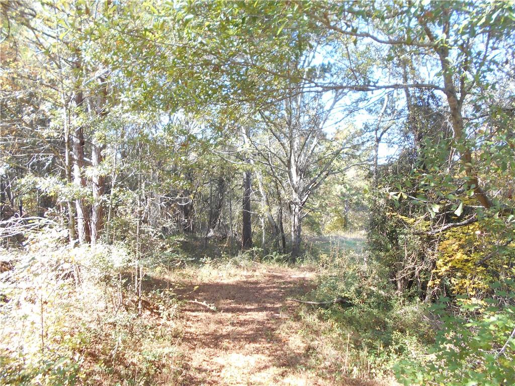 1230 Good Hope Road Monroe, GA 30655 - Photo 56 of 76 a view of a yard with a tree