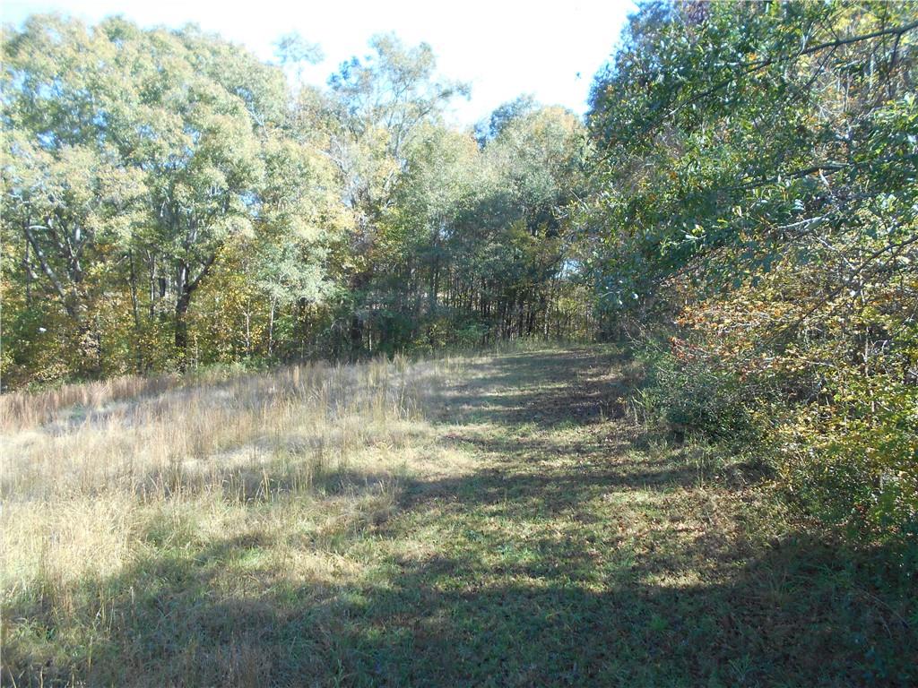 1230 Good Hope Road Monroe, GA 30655 - Photo 57 of 76 a view of a lake view