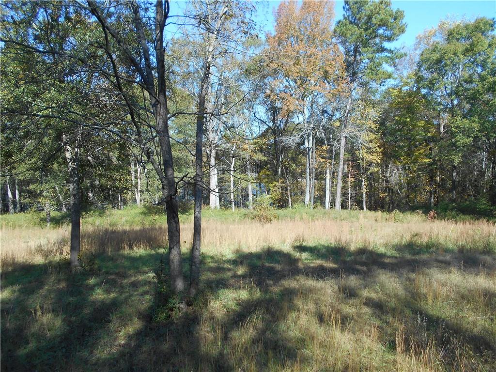 1230 Good Hope Road Monroe, GA 30655 - Photo 58 of 76 a view of a lake view