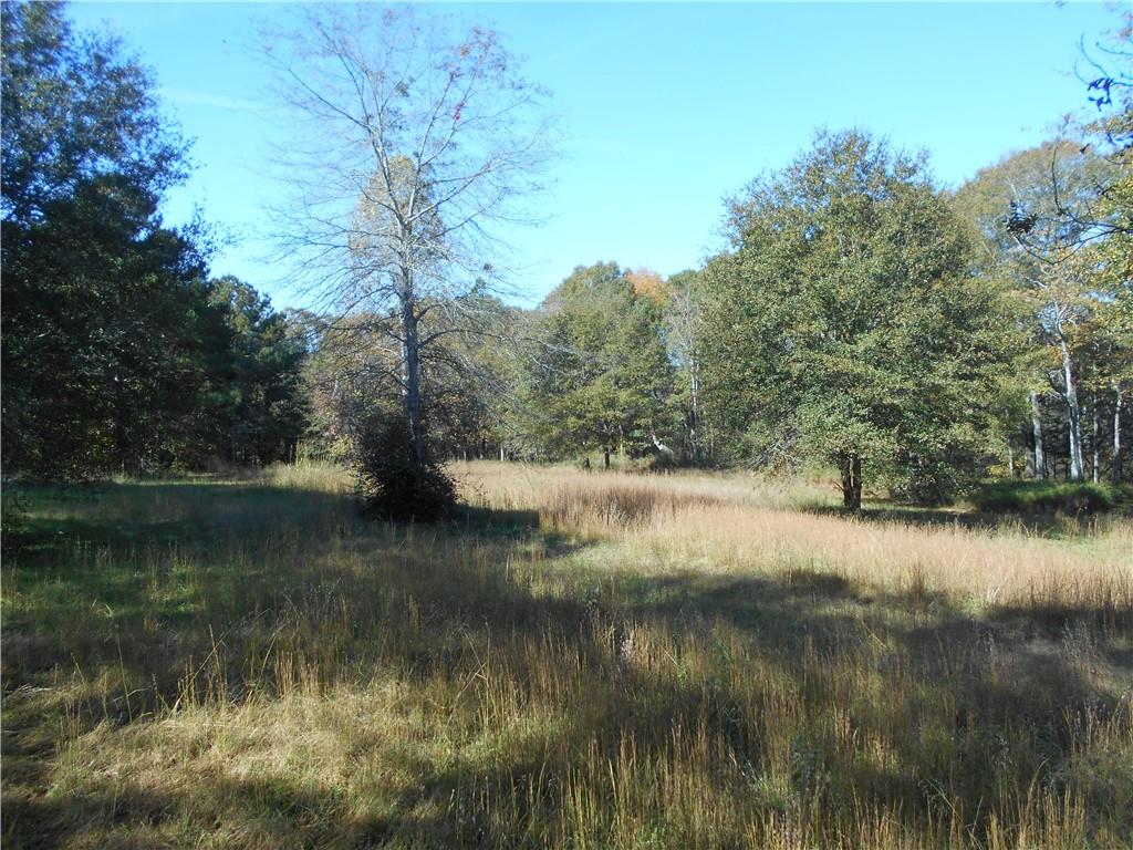 1230 Good Hope Road Monroe, GA 30655 - Photo 59 of 76