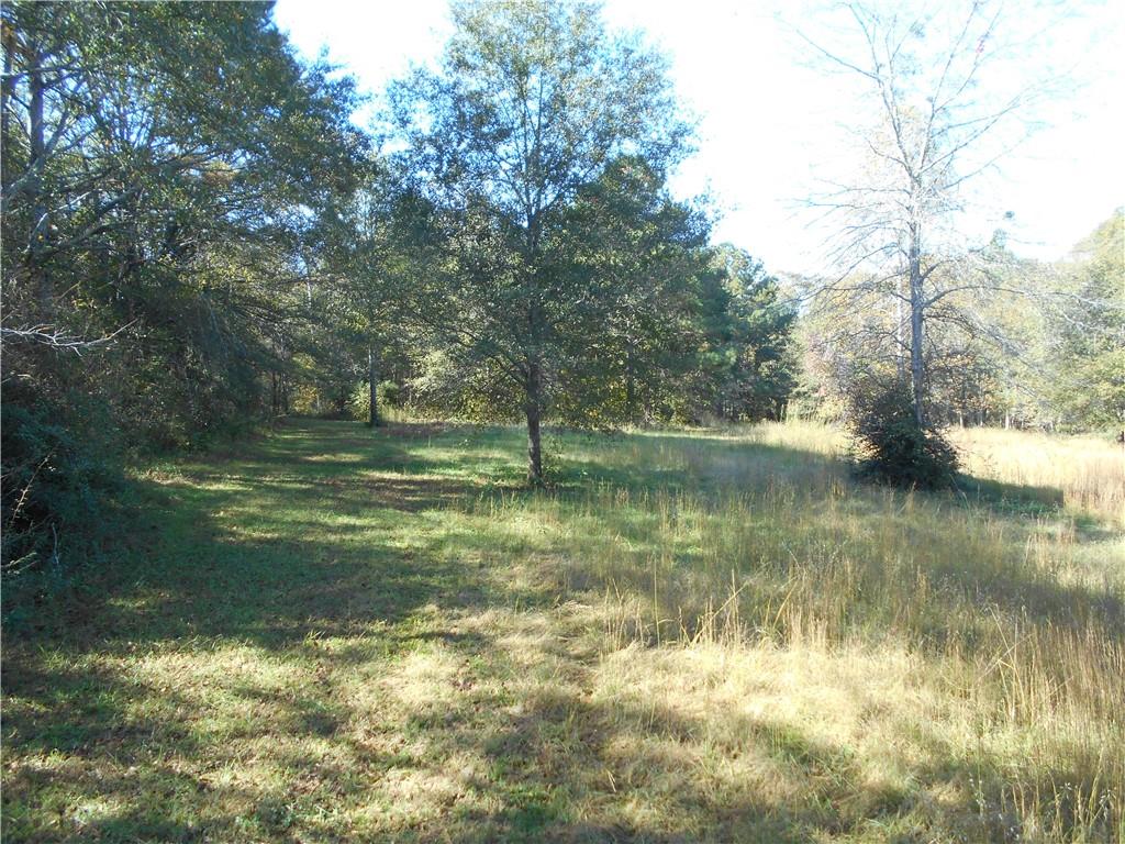 1230 Good Hope Road Monroe, GA 30655 - Photo 60 of 76 a view of lake