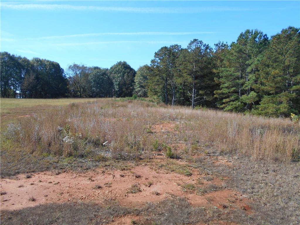1230 Good Hope Road Monroe, GA 30655 - Photo 61 of 76 a view of a backyard