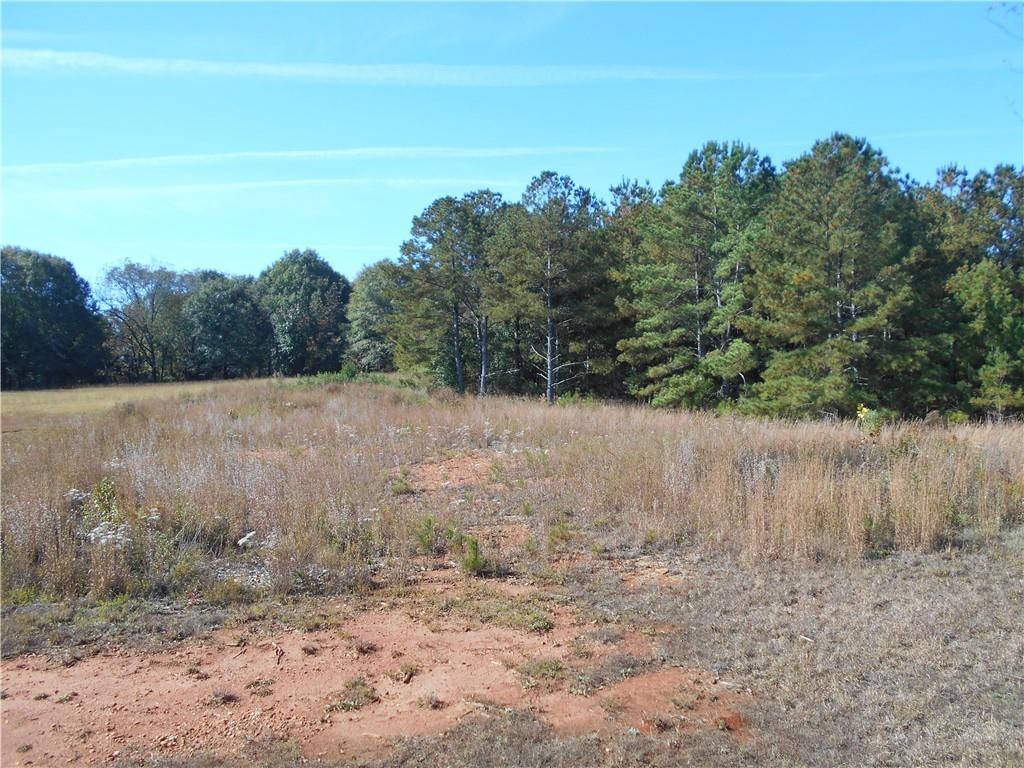 1230 Good Hope Road Monroe, GA 30655 - Photo 63 of 76 a view of a dry yard with trees in the background