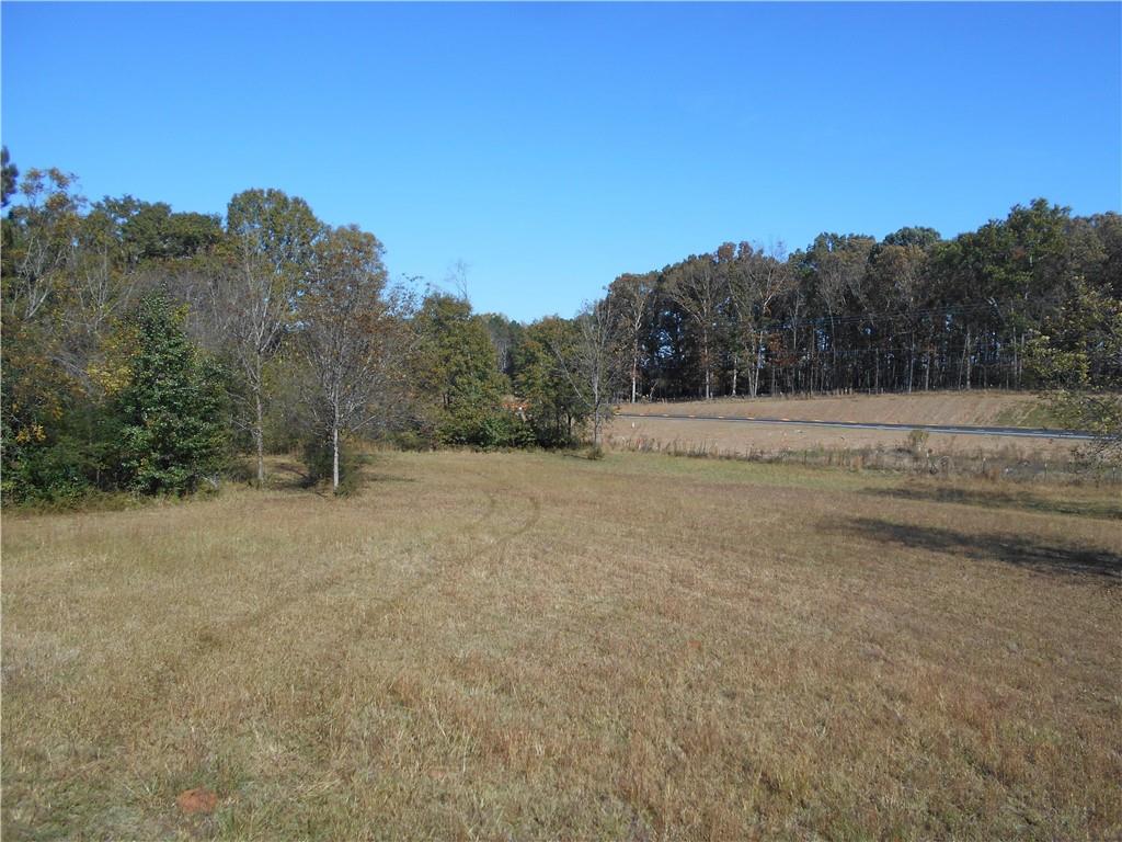 1230 Good Hope Road Monroe, GA 30655 - Photo 68 of 76 a view of a field with trees in background