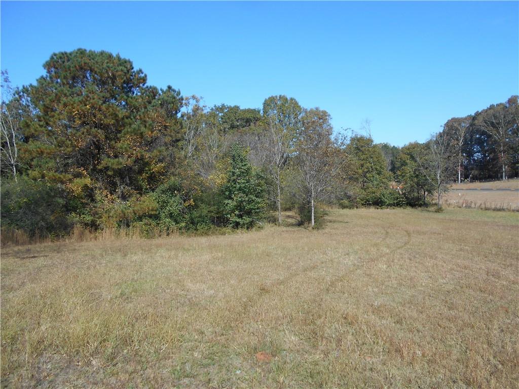 1230 Good Hope Road Monroe, GA 30655 - Photo 69 of 76 a view of a field with trees in the background