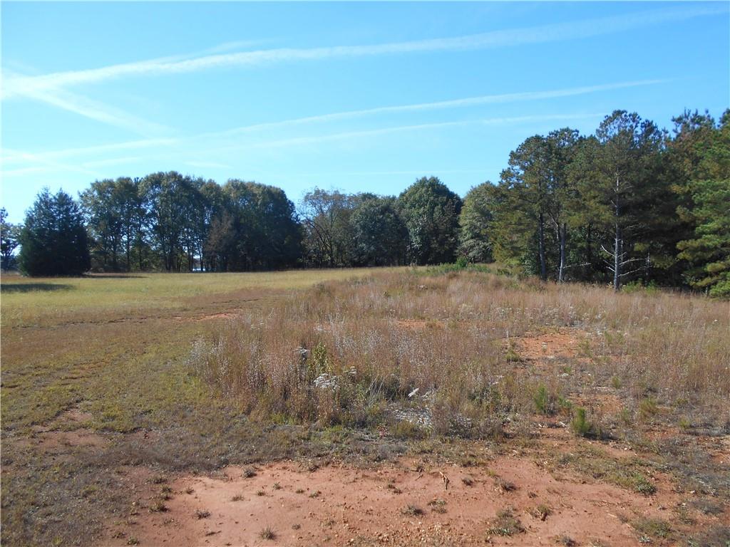 1230 Good Hope Road Monroe, GA 30655 - Photo 70 of 76 a view of a field with an ocean