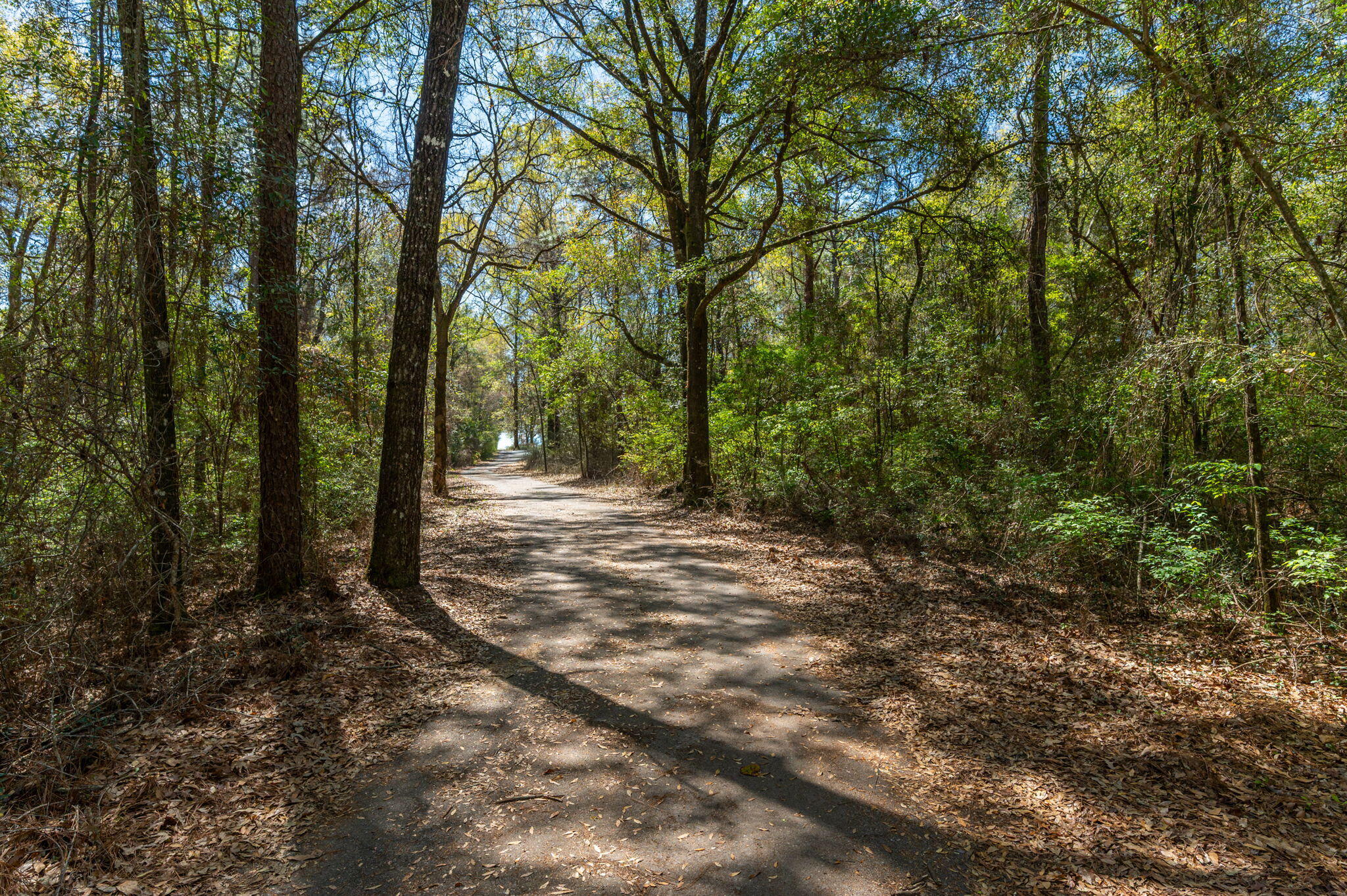 2787 Lake Silver Road Crestview, FL 32536 - Photo 5 of 85 81-web-or-mls-2787-lake-silver-rd
