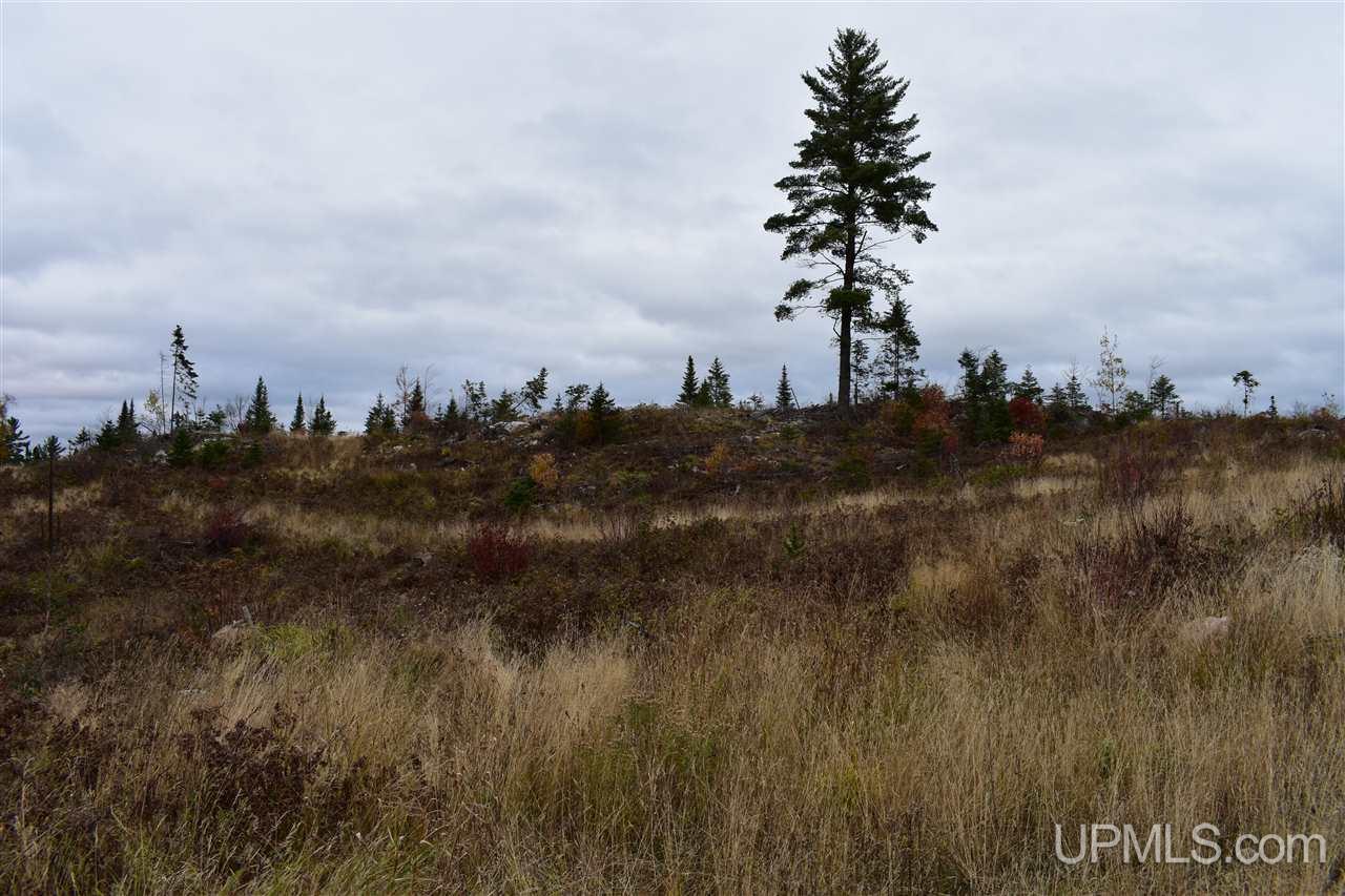 40-acres 40-acres Off Co Road Gwinn, MI 49841 - Photo 15 of 22