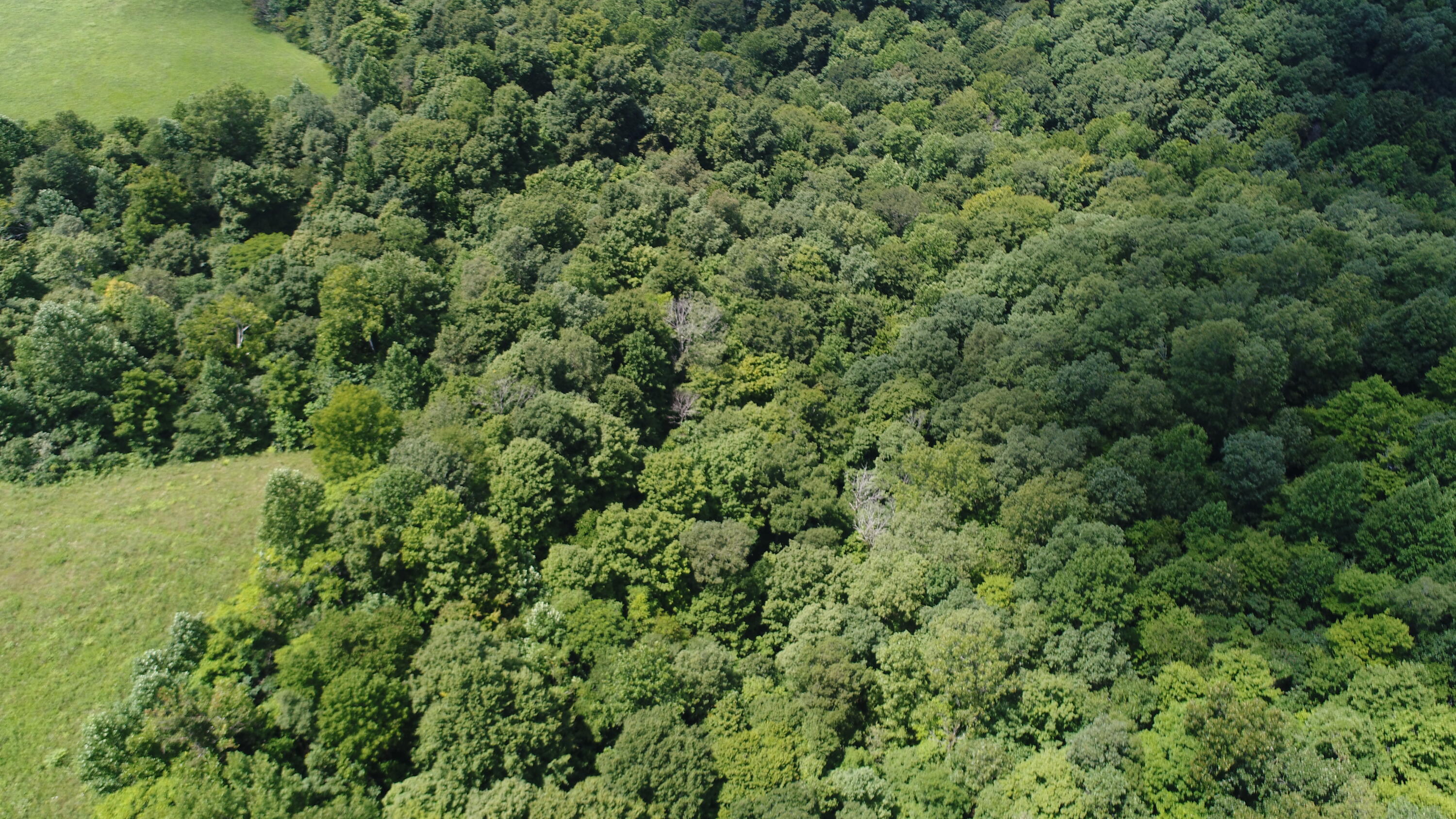 2 Pointer Creek Road Nancy, KY 42544 - Photo 11 of 13 DJI_0443
