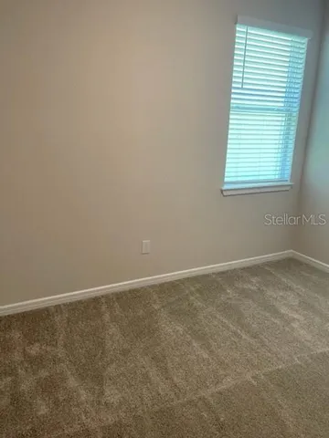 a view of a backyard with potted plants