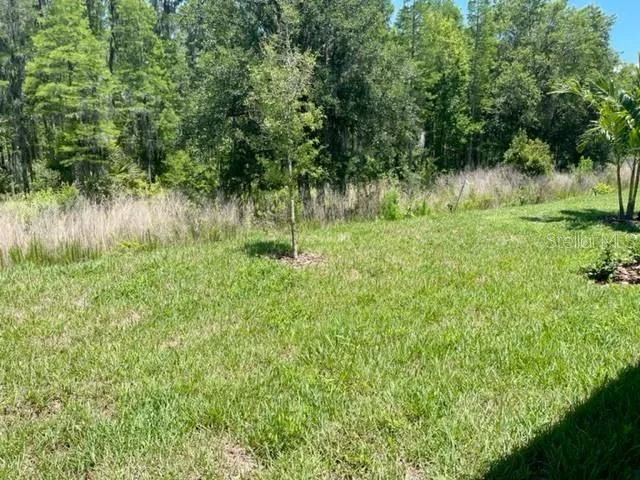 $2,575 | 19233 Old Spanish Road, Tampa, FL 33647